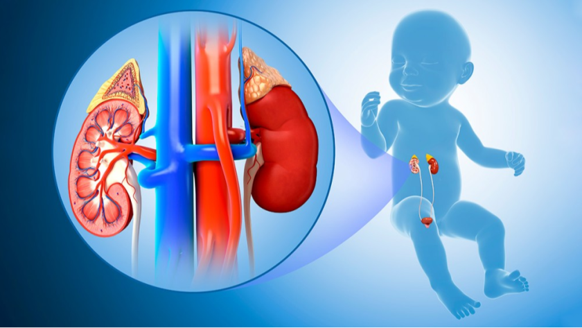 Pediatric urological surgeries